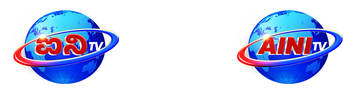 AINI Logo